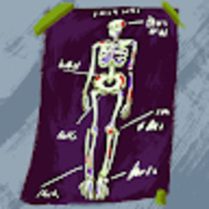 Meet your Posher, Zoe